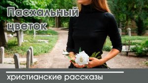 Пасхальный цветок - ИНТЕРЕСНЫЙ ХРИСТИАНСКИЙ РАССКАЗ | Христианские рассказы