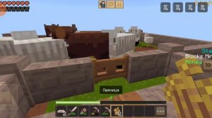 х и граю в minecraft один блок