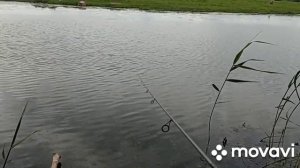 Рыба сошла с ума. микро джиг, микро калебло,    и микро вертушки, клюёт плотва,карась и окунь