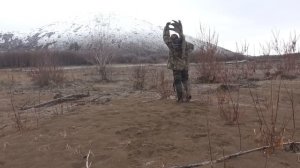 Охота на Чукотского лося на Омолоне 2023.