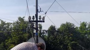Ремонт проводного радио