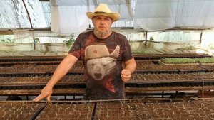 Обязательная Обработка от Корневых Гнилей Томата | Осенний оборот Томатов
