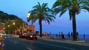 Сканеры/Влог/Скучно и нудно/Копируют за Фанни Фо??♀️