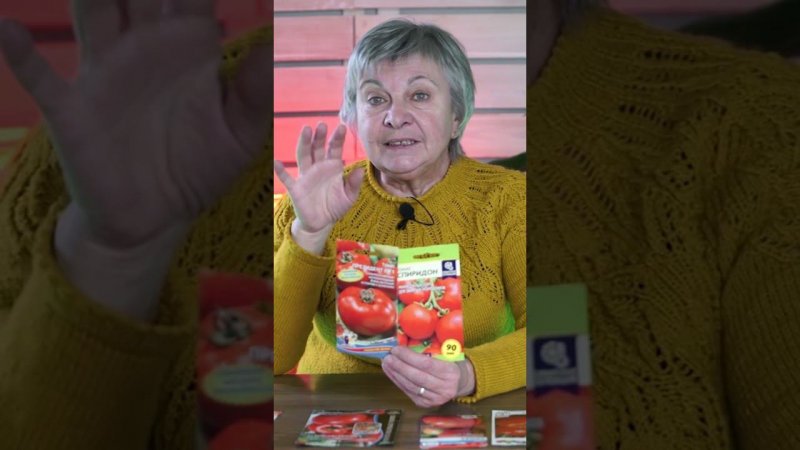 Супер ранние томаты, которые я сажаю каждый год без рассады