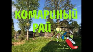 Проект "Переезд в деревню". Комариный рай за 650 000р.