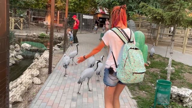 Бахчисарай сегодня. Достопримечательности, экскурсии, цены. смотреть онлайн