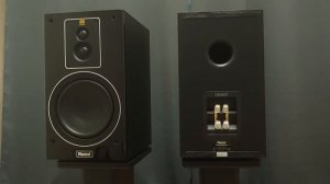 Magnat Signiture 503