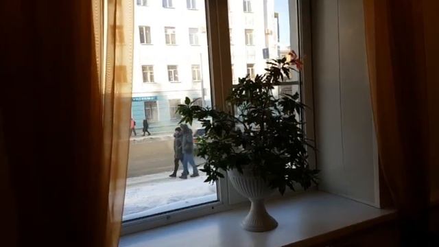 КАФЕ ГУРМАН В КУРГАНЕ смотреть онлайн