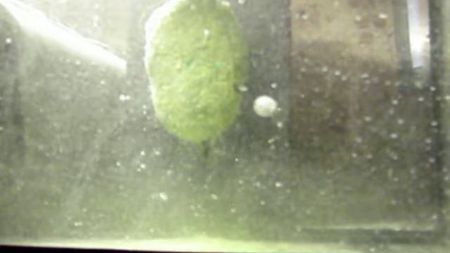 Турбопланктон зелёный смотреть онлайн