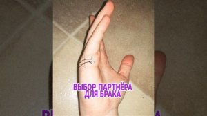 Линия брака: выбор партнёра для Брака