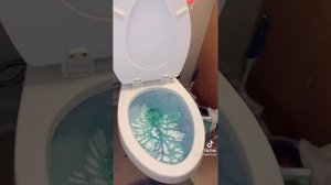 Чистый унитаз.