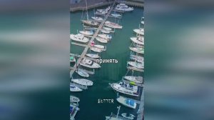 Если вы не можете попасть на концерт БТС