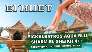 ЕГИПЕТ 2024| Pickalbatros Aqua Blu Sharm El Sheikh 4*. Территория, номера, аквапарк,  питание, пляж