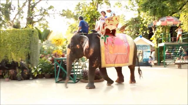 Тигровый зоопарк Сирача / Siracha Tiger Zoo (Тайланд) - 14