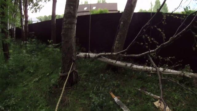 Деревья падают поэтому и пилим смотреть онлайн