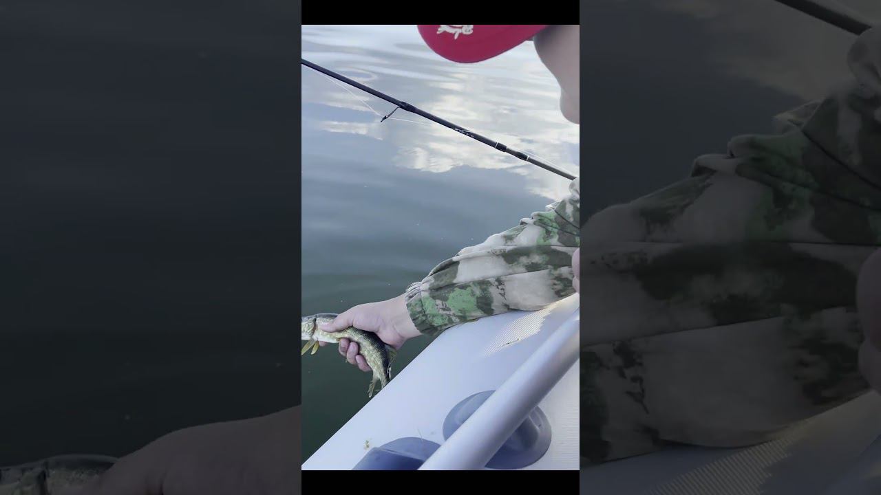 Как поступает настоящий рыбак #fishing #рыбалканасевере #carpfishing #carp #нарыбалку #палатка #карп смотреть онлайн