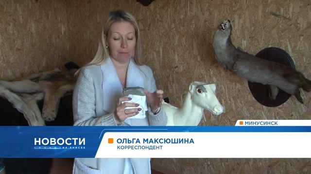 Чучела зверей и птиц/Stuffed animals and birds