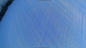 ЧТО ВИДИТ ВОЗДУШНЫЙ ШАРИК? Или что будет, если к воздушным шарикам привязать камеру?