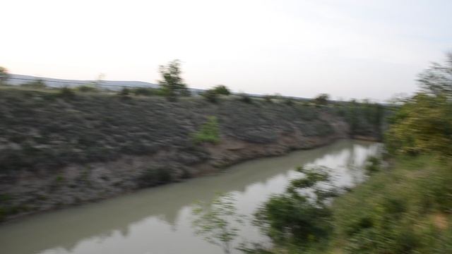 Тайган сафари парк львов в Крыму