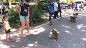 Пляж Най Харн (Nai Harn Beach) — один из лучших на Пхукете, августа 2019 г.