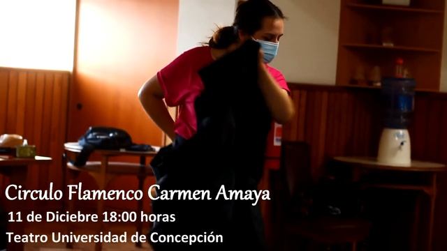 Circulo Flamenco Carmen Amaya 11 de Diciembre Teatro Concepción 2 смотреть онлайн