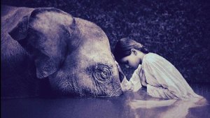 God Is an Astronaut - A Moment of Stillness (Remastered Edition)