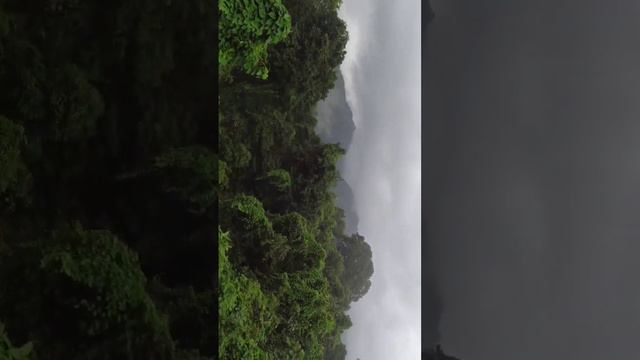 Dudhsagar Waterfall 😍 Goa by train #goa  #dudhsagar #dudhsagarwaterfalls  #safarwithsurya  #goatrip