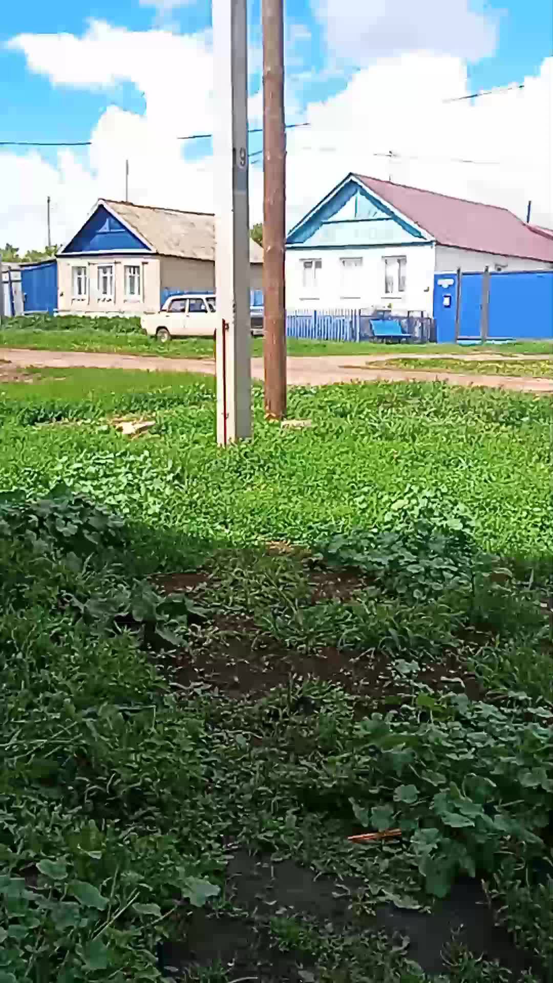 ответы на вопросы