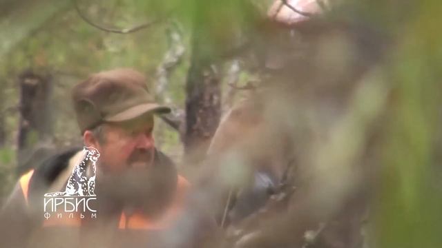 СЕВЕРНЫЙ БАЙКАЛ (Баргузинский заповедник) Бурятия. Голодные медведи. смотреть онлайн