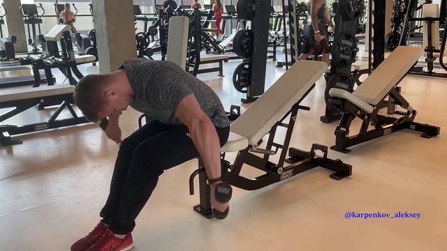 Разведения гантелей в наклоне сидя смотреть онлайн