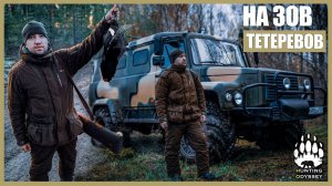 МАТЕРЫЕ ТЕТЕРЕВА, ШИКАРНОЕ МЕСТО ДЛЯ ОХОТЫ, ВАЛДАЙСКАЯ УСАДЬБА