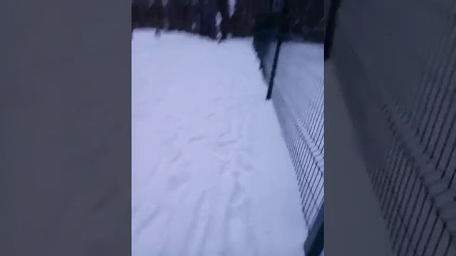 Тайна исчезновения табличек - Не влезай！Убьет！С забора вокруг УГБ1 03.01.2018 смотреть онлайн