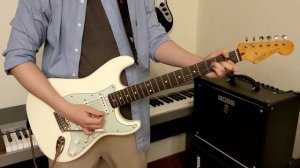 The Lively Ones - Surf Rider (Guitar Cover)