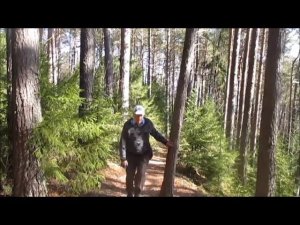 Мне сегодня вдруг приснилось  - автор музыка и поёт Юрий Сергеев