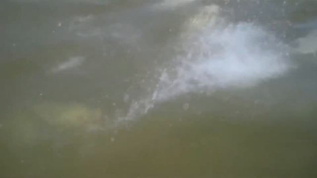 Кастинговая сеть парашют отличный улов смотреть онлайн