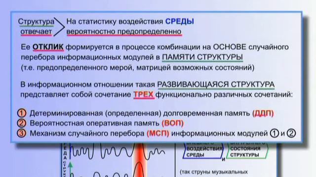 11. Курс лекций по общей теории управления. Основные положения общей теории управления. Часть 3 смотреть онлайн