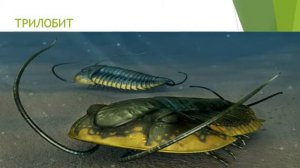 кембрий- аномалокарис . трилобит