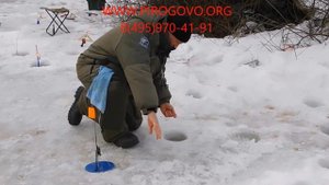 Зимняя ловля форели на платном пруду