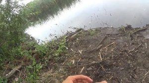 Ловим Линя на дальний заброс