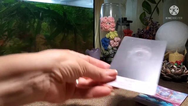 ВЫ И ВАШ КАРМИЧЕСКИЙ ПАРТНЕР #оракул#пролюбовь