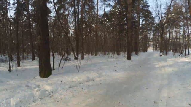 Пешеходный маршрут от м. Ховрино до Левого Берега.
