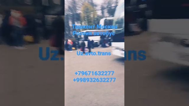 Москва Ташкент рейсовый автобус Uz.avto.trans новоясеневская автовокзал