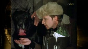 Дай, Джим, на счастье лапу мне! Не даёт?