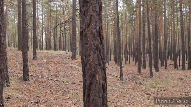 #ТУРЦИЯ2020 С НЕТЕРПЕНИЕМ ЖДЁТ РОССИЙСКИХ ТУРИСТОВ.1АВГУСТА ПЕРВЫЙ РЕЙС.КАК ПРОВЕРИТЬ ОТЕЛЬ.
