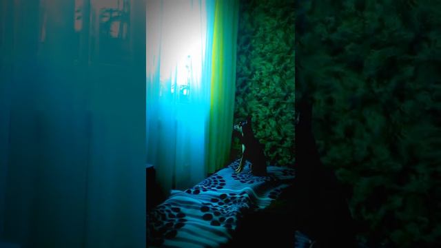 Когда не понять что происходит...