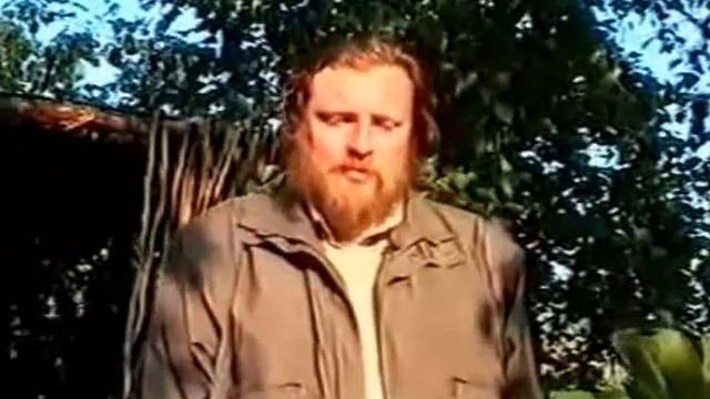 16. Лечебные растения чистотел, шиповник и яблоня.