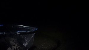 Где ловить леща летом? / рыбалка на Юмагузинском водохранилище/ лещ на фидер