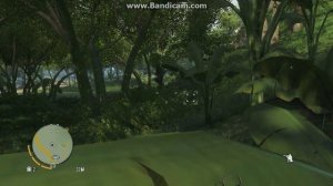 Где найти шкуру тапира в FarCry 3