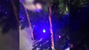 С НОВЫМ ГОДОМ!!
