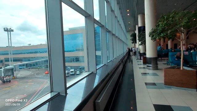 Аэропорт Домодедово Москва обзор 2021.